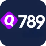 Q789 Game