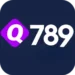 Q789 Game